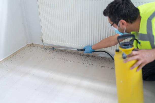 Best Flea Control Services  in Lugoff, SC